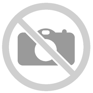 Inchiostro comp. Per Epson Ecotank 106 C13T00R140 70ml photo nero